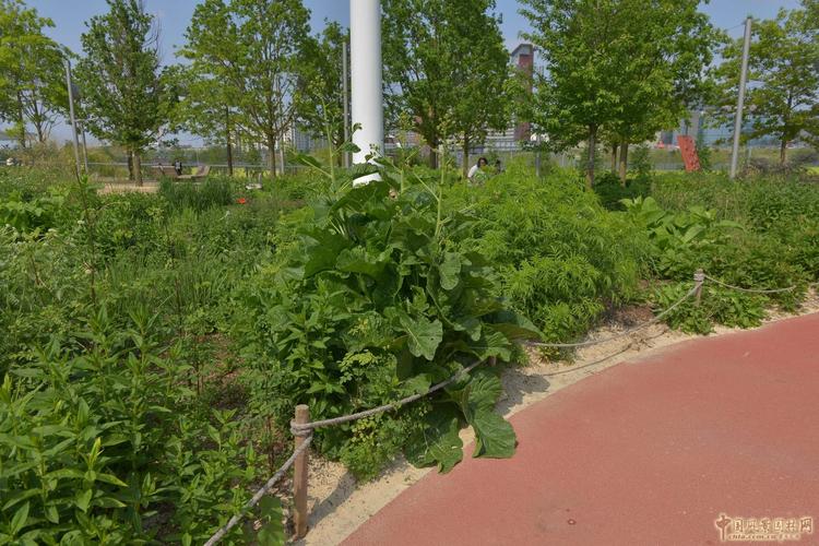 旅系列四:倫敦奧林匹克公園_世界園林_中國風景園林網